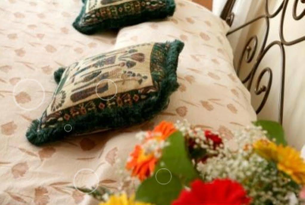 Crown Inn Hotel Nikozja Zewnętrze zdjęcie